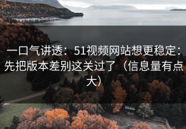 一口气讲透：51视频网站想更稳定：先把版本差别这关过了（信息量有点大）
